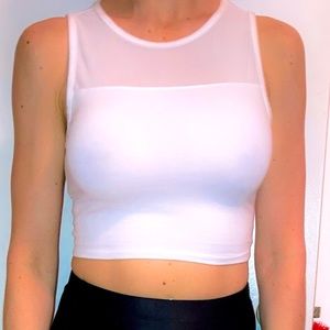 Sheer Stretchy Workout Crop Top